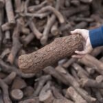 Leña de Encina y Roble 14 L para Chimenea y Barbacoa - Imagen 2